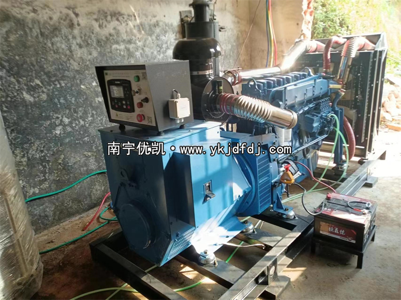 2024年3月5日，200kw濰坊雷納發(fā)電機(jī)組某學(xué)校到貨安裝
