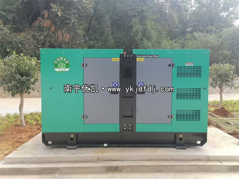 2024年11月21日，平果項目160kw低噪音柴油發(fā)電機組到貨試機